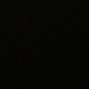 Meet your Posher, Ariana